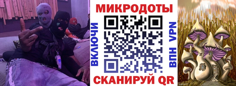 Псилоцибиновые грибы MAGIC MUSHROOMS  Купить  Суджа 